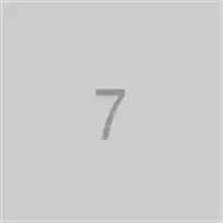 kuru-temizlemeci-olta-bayragi-7